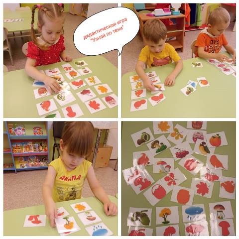 b364ec01 a535 4a35 8c25 e198d934a513