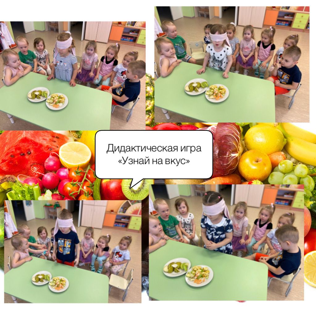 Изображение WhatsApp 2023 04 07 в 19.04.50