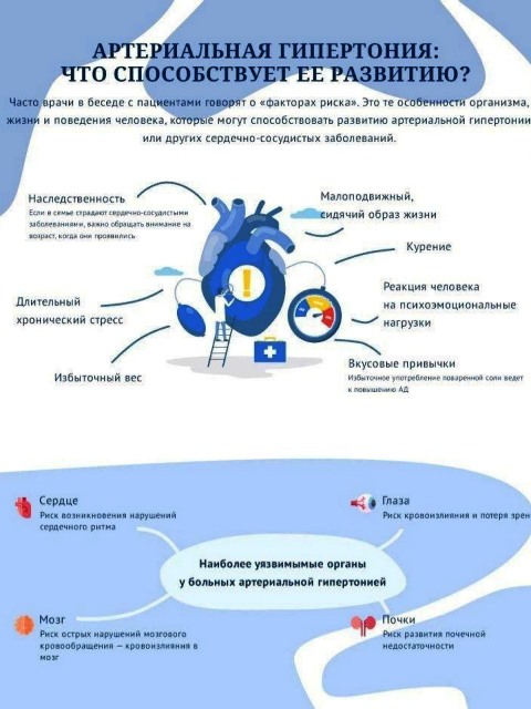 Изображение WhatsApp 2023 05 19 в 11.40.18