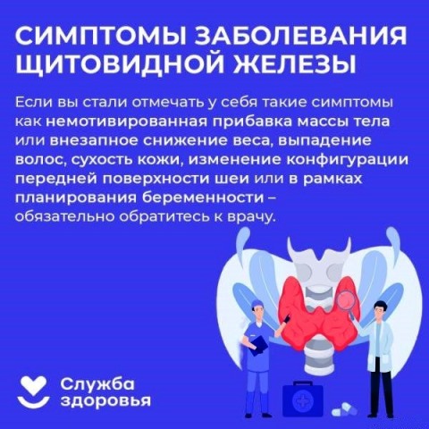 Изображение WhatsApp 2023 05 26 в 15.02.57 3