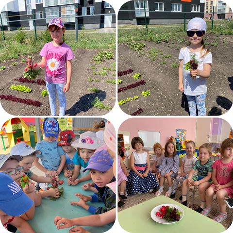 Изображение WhatsApp 2023 06 19 в 07.55.57