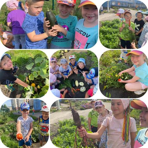 Изображение WhatsApp 2023 08 15 в 10.34.44