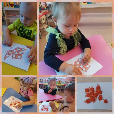 Изображение WhatsApp 2023 09 25 в 15.01.06