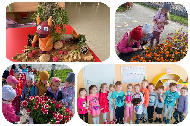 Изображение WhatsApp 2023 10 03 в 12.36.55 0837a04f