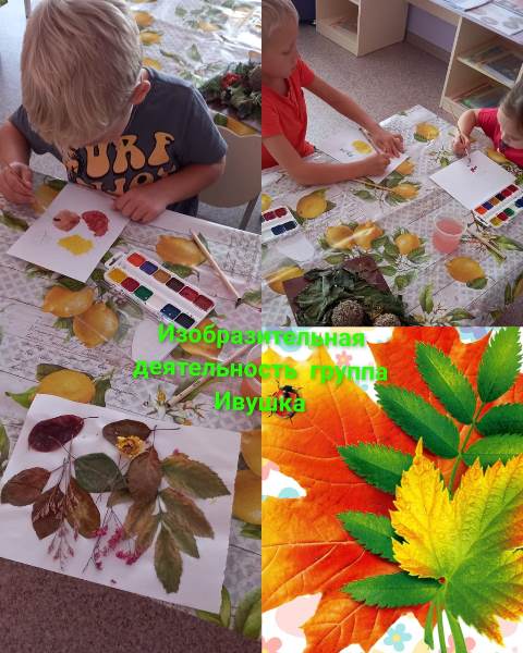 Изображение WhatsApp 2023 10 24 в 09.38.25 1e614abc