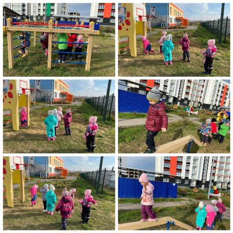 Изображение WhatsApp 2023 10 24 в 17.29.23 e5e528f0