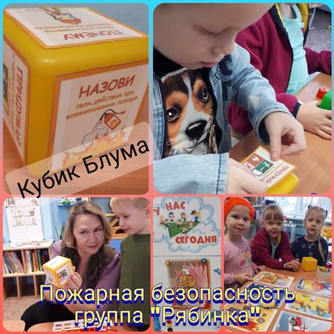 Изображение WhatsApp 2023 11 24 в 18.07.12 fd714c74