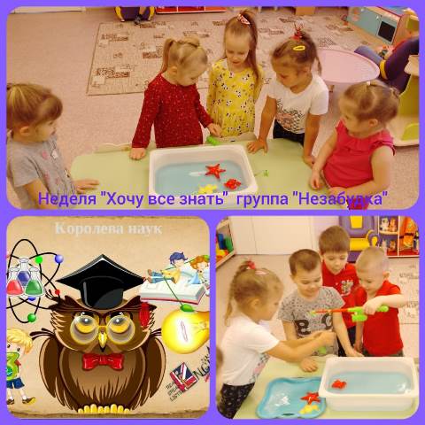 Изображение WhatsApp 2024 02 09 в 13.02.34 5d687750