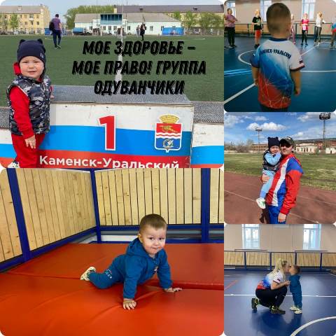 Изображение WhatsApp 2024 04 08 в 09.10.49 55f288d0