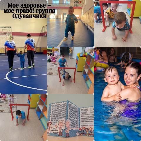 Изображение WhatsApp 2024 04 08 в 09.10.49 7264cc2b