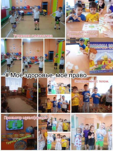 Изображение WhatsApp 2024 04 08 в 13.25.02 c1369826