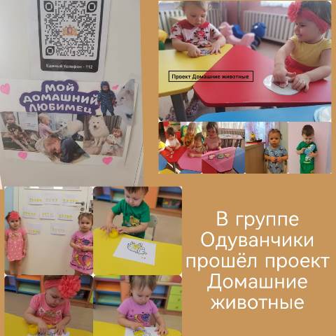 Изображение WhatsApp 2024 04 10 в 12.38.00 d8742167