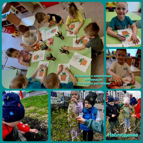 Изображение WhatsApp 2024 04 27 в 18.39.59 71c8d156