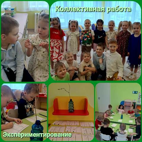 Изображение WhatsApp 2024 04 27 в 20.06.50 b6cfa377