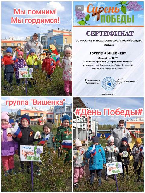 Изображение WhatsApp 2024 05 03 в 13.15.52 9a7e6c42