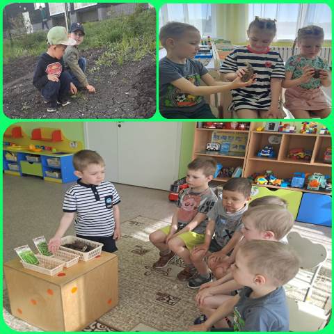 Изображение WhatsApp 2024 05 21 в 18.44.51 b10d21f3