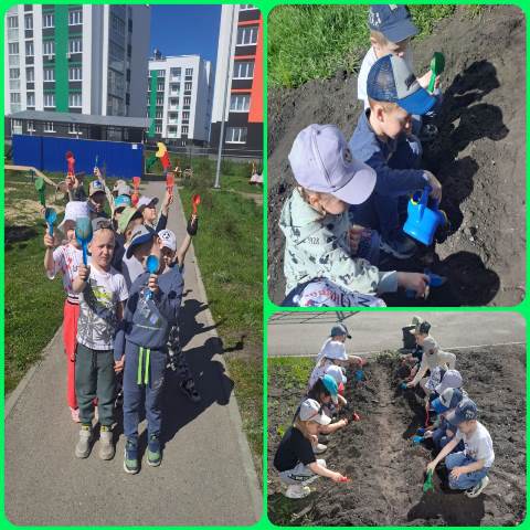 Изображение WhatsApp 2024 05 21 в 18.44.51 f51b5074