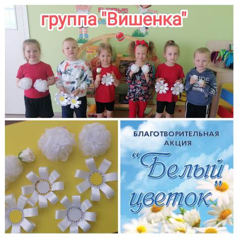 Изображение WhatsApp 2024 05 28 в 12.24.42 30f43199