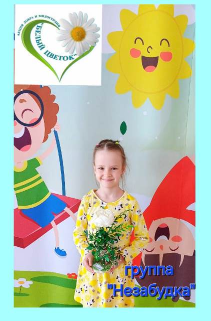 Изображение WhatsApp 2024 05 30 в 13.25.09 29cdec6d