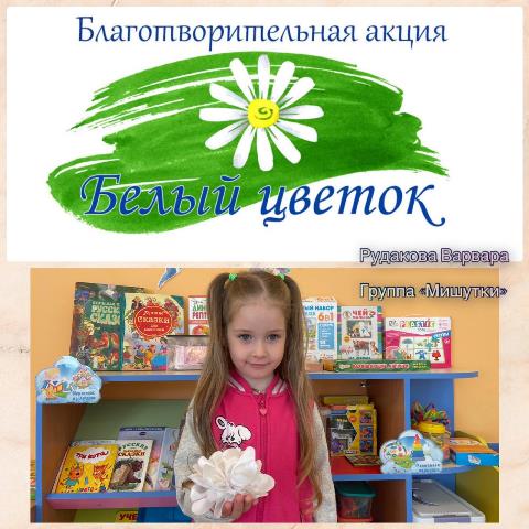 Изображение WhatsApp 2024 05 30 в 14.04.47 3855cfcb