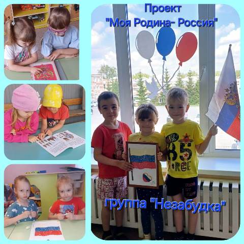 Изображение WhatsApp 2024 06 11 в 15.13.28 bf467782