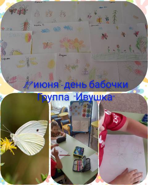 Изображение WhatsApp 2024 06 19 в 09.41.03 afaabed0