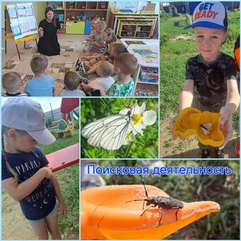 Изображение WhatsApp 2024 06 19 в 14.16.39 649f9d62