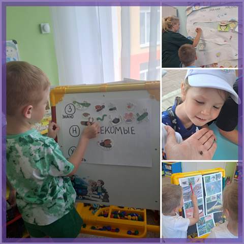 Изображение WhatsApp 2024 06 21 в 14.05.57 2bbca301