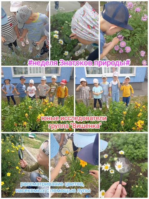 Изображение WhatsApp 2024 06 21 в 17.35.42 93ef599f