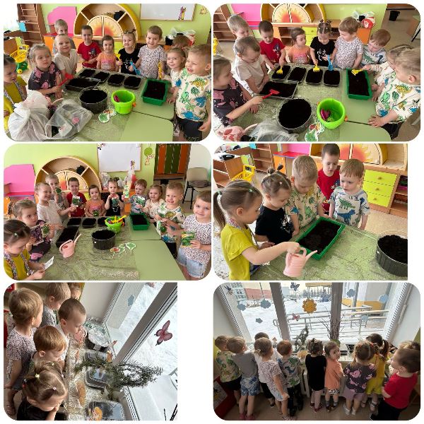 Изображение WhatsApp 2025 03 11 в 17.59.04 18e70e41