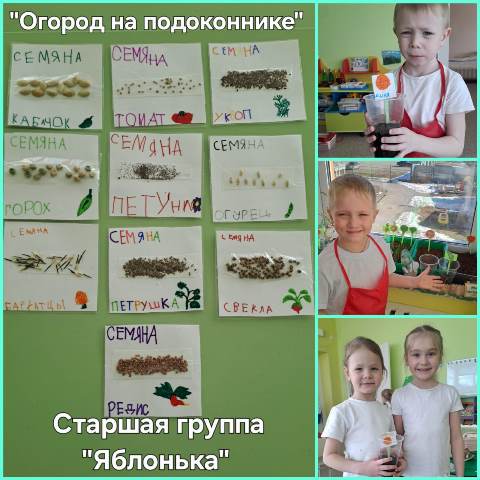 Изображение WhatsApp 2025 03 31 в 21.00.04 78f2b2cd