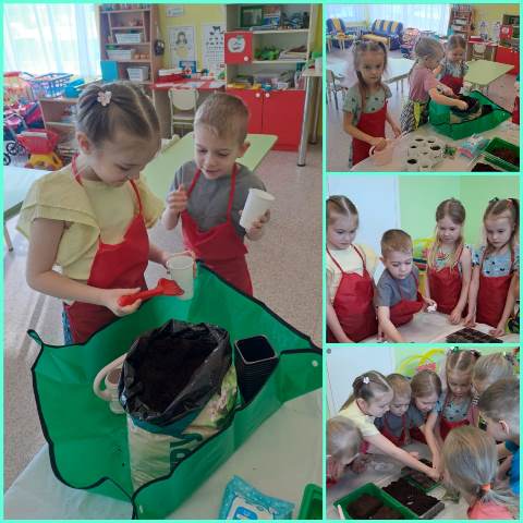 Изображение WhatsApp 2025 03 31 в 21.00.08 55484a93