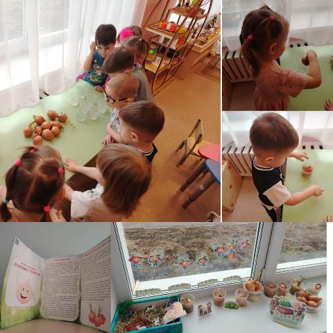 Изображение WhatsApp 2025 04 30 в 13.49.15 9c7acc8b