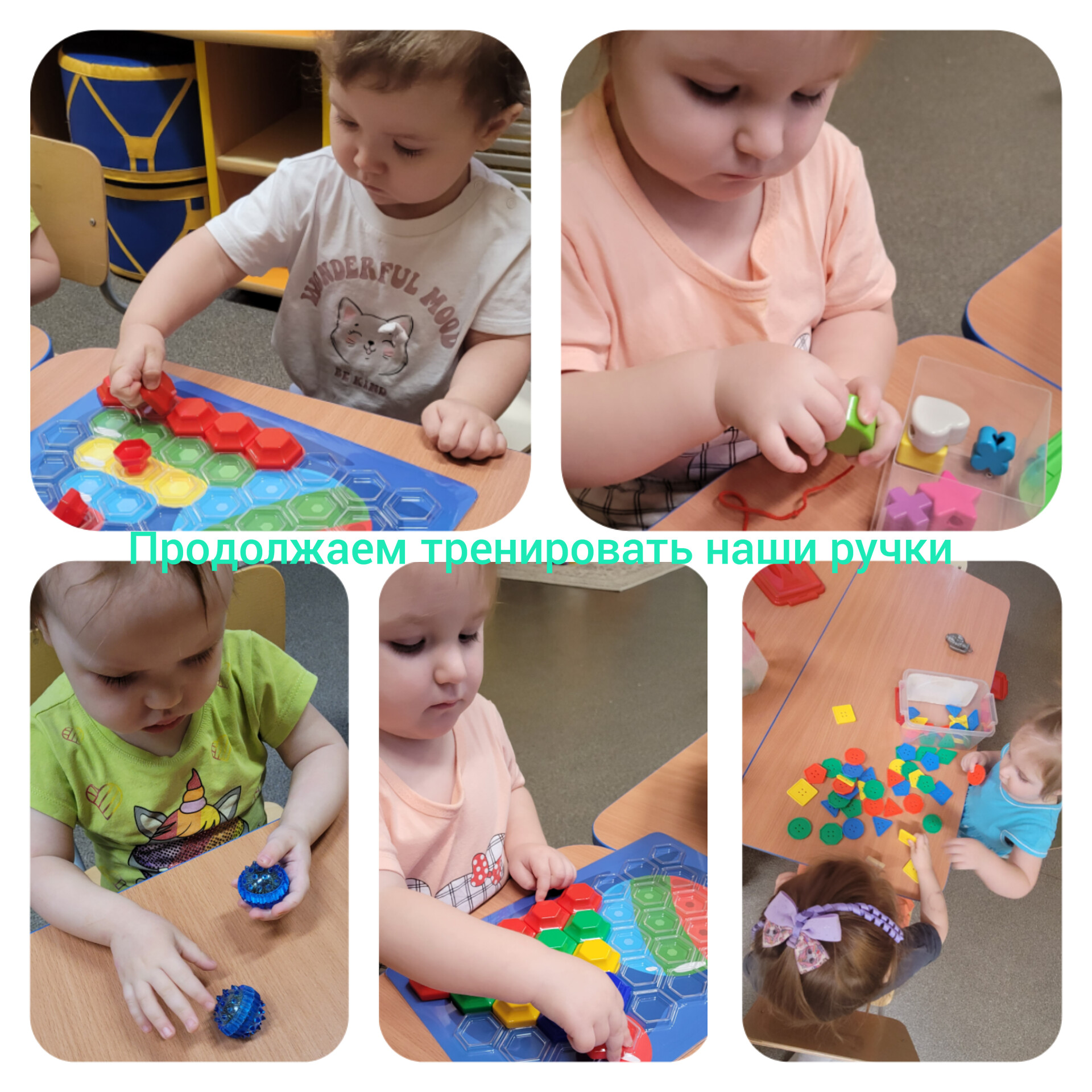 InShot 20240205 090505146