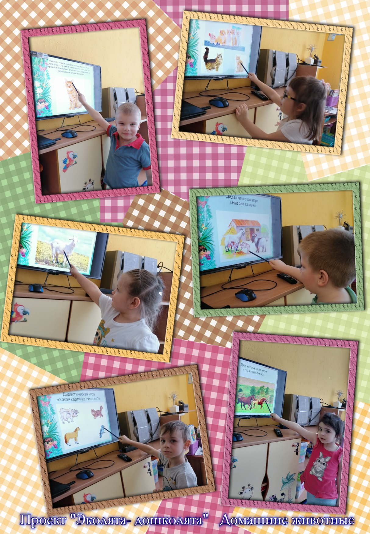 viptalisman 170393 1