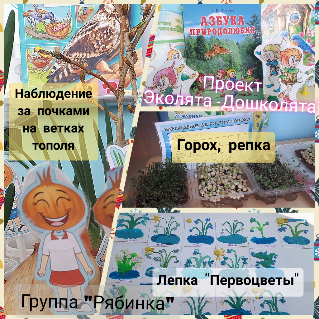 Polish 20240321 194819787