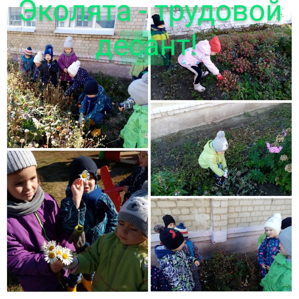 20210926 094627 COLLAGE 2