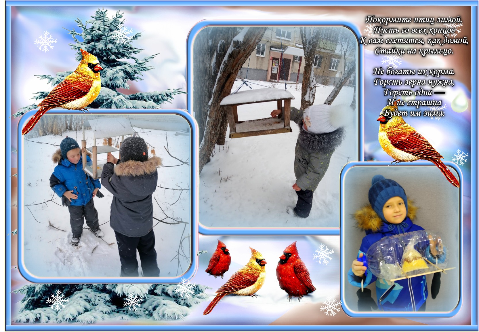 покормите птиц зимой