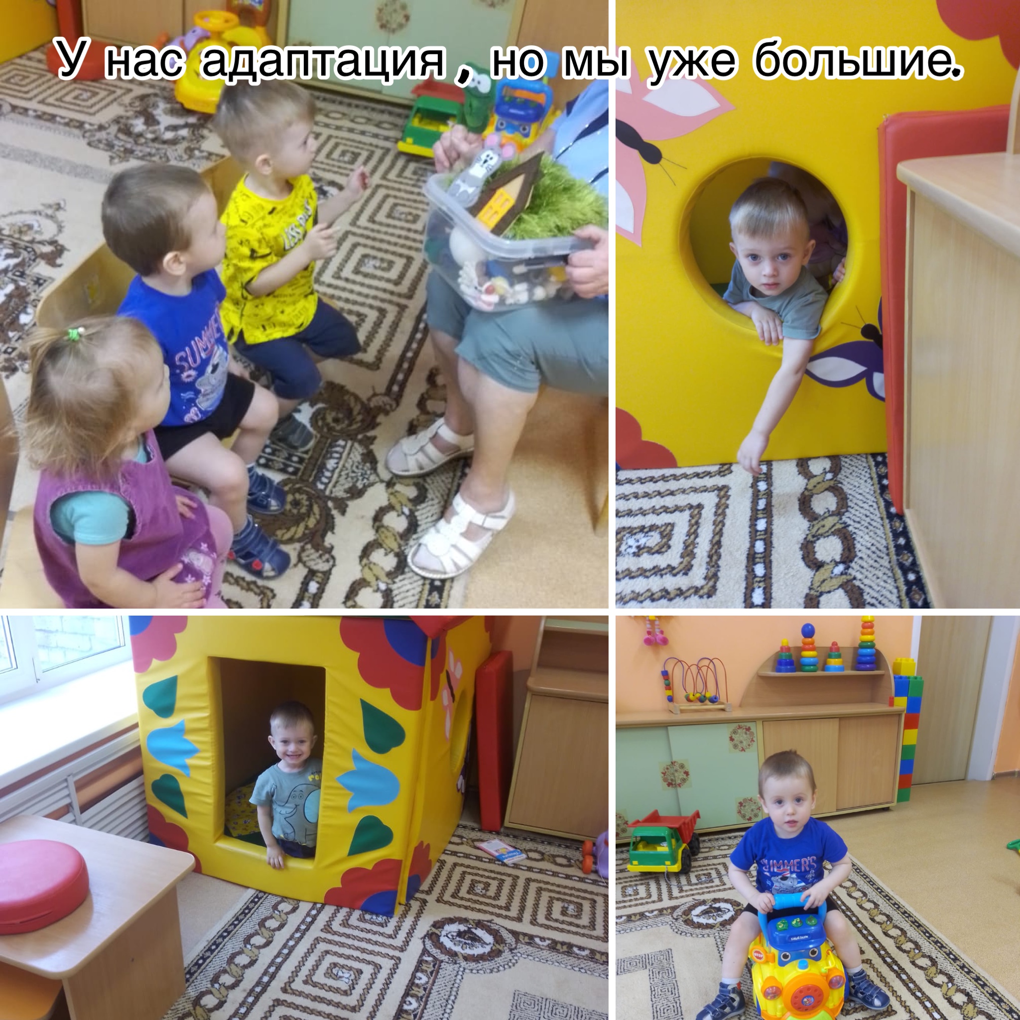 IMG 2346 09 11 22 01 09