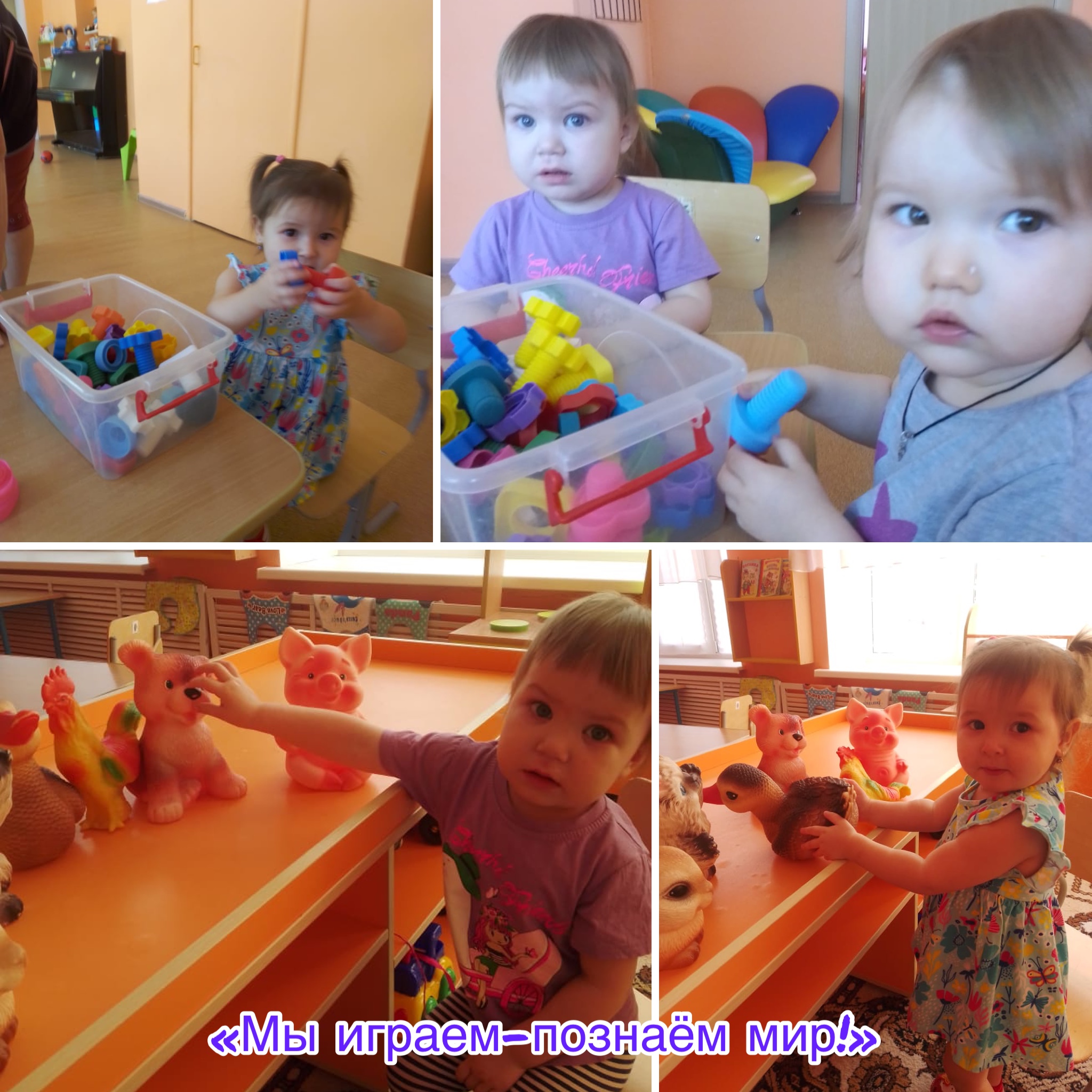 IMG 2706 30 11 22 11 11