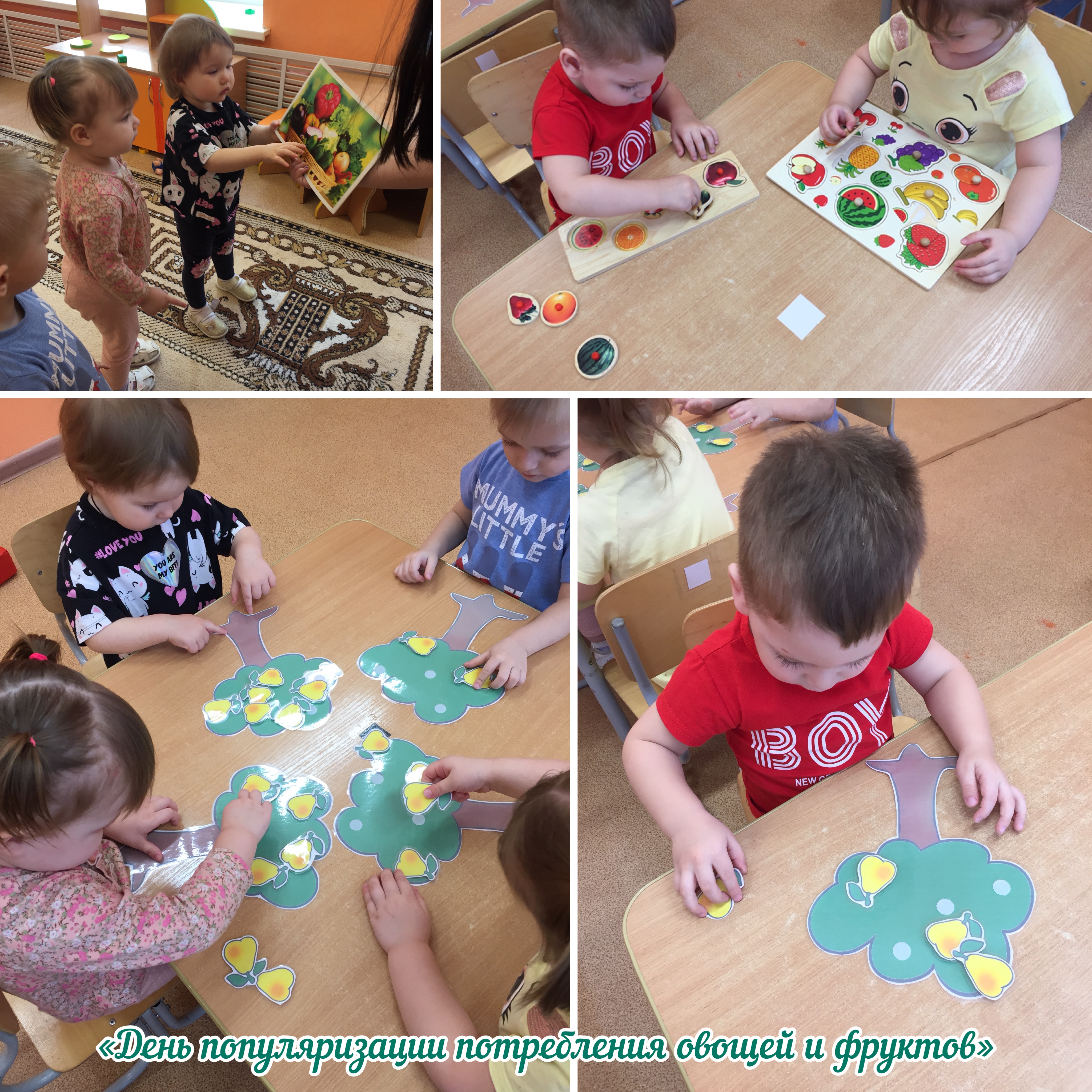 IMG 4149 17 02 23 12 05