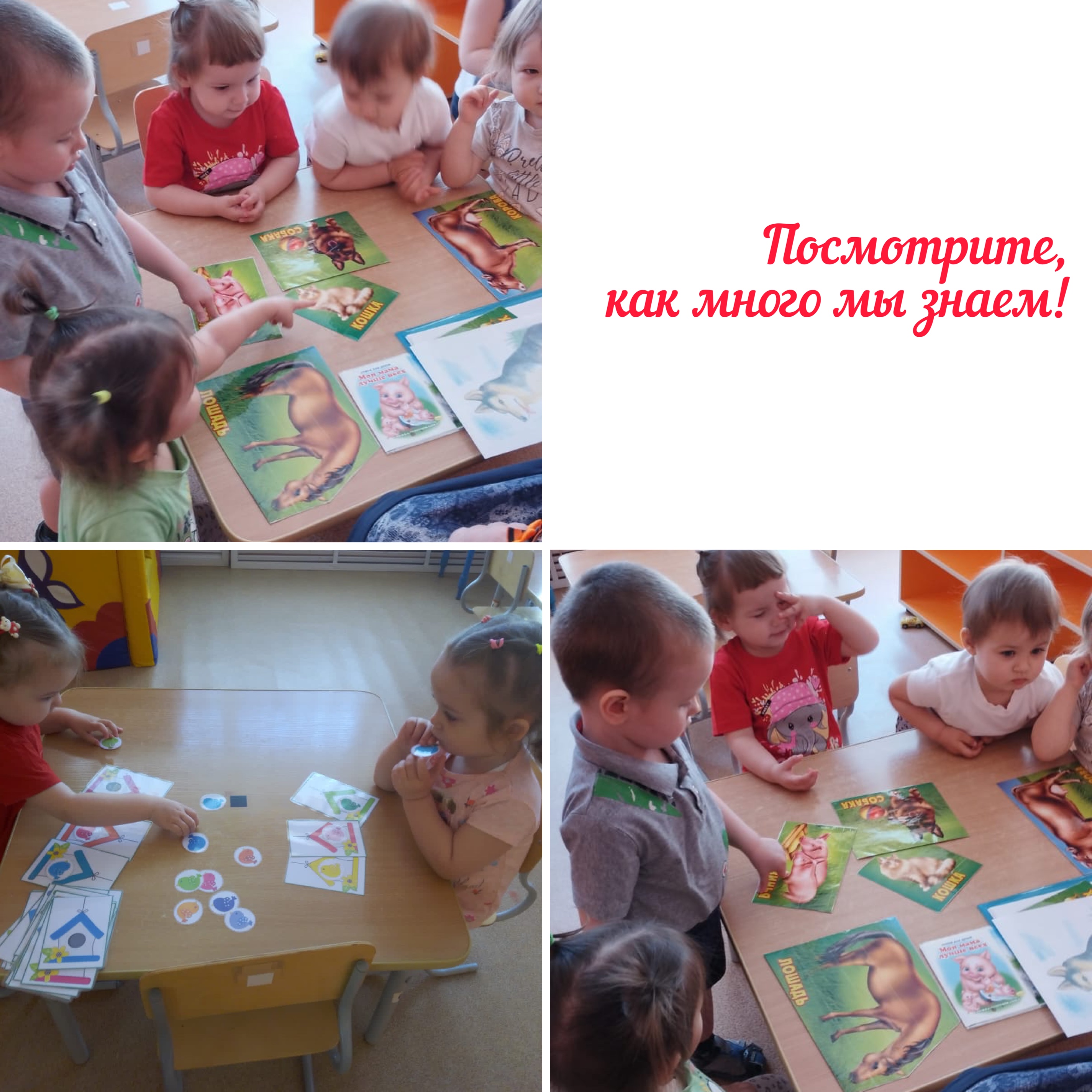 IMG 5666 10 05 23 01 05