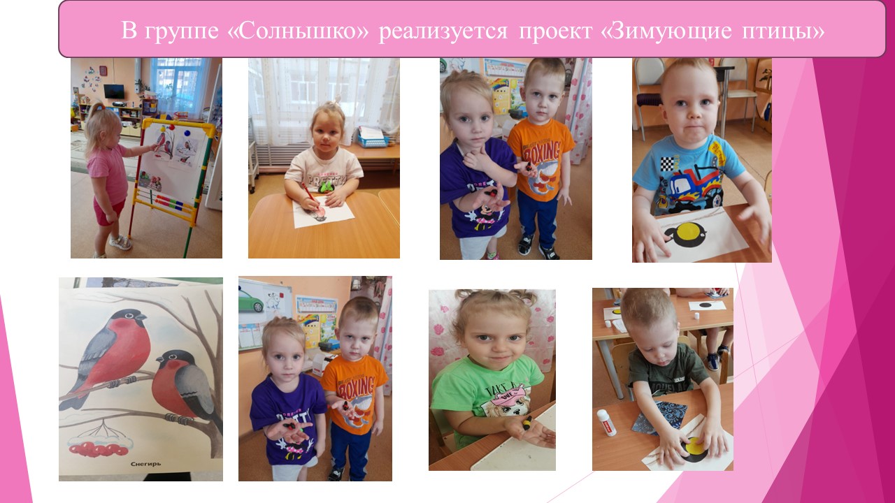 февраль солнышко