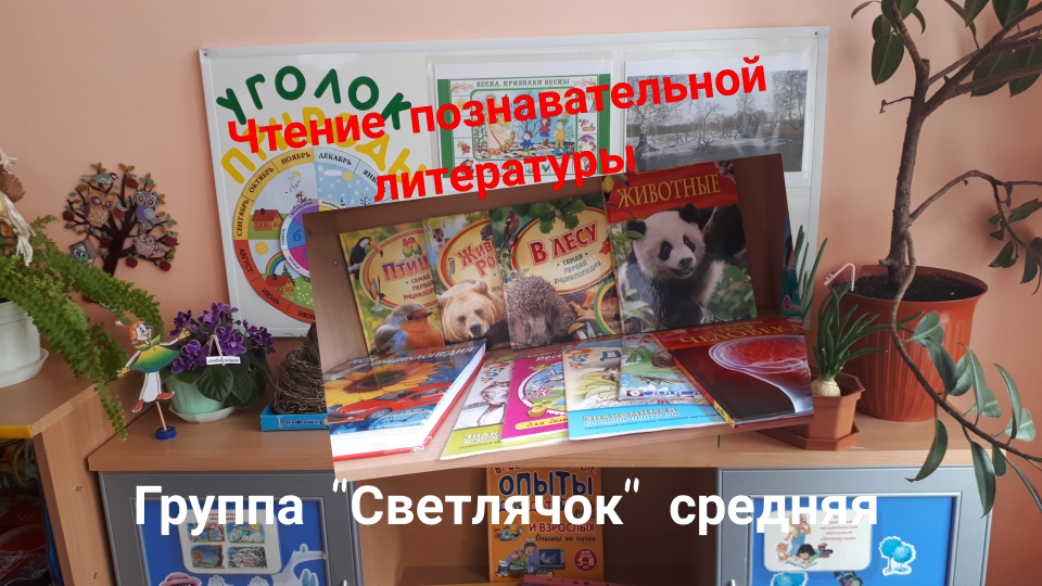 Polish 20210402 192502255