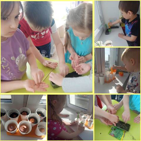 Изображение WhatsApp 2023 04 12 в 12.22.59