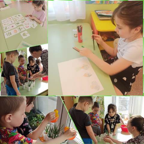 Изображение WhatsApp 2023 05 06 в 11.12.58