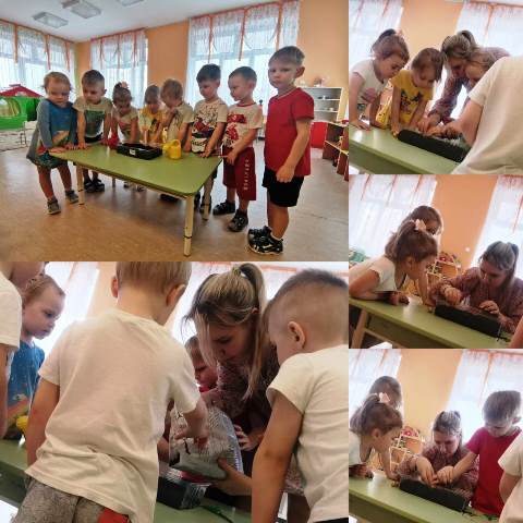 Изображение WhatsApp 2023 03 27 в 12.20.19