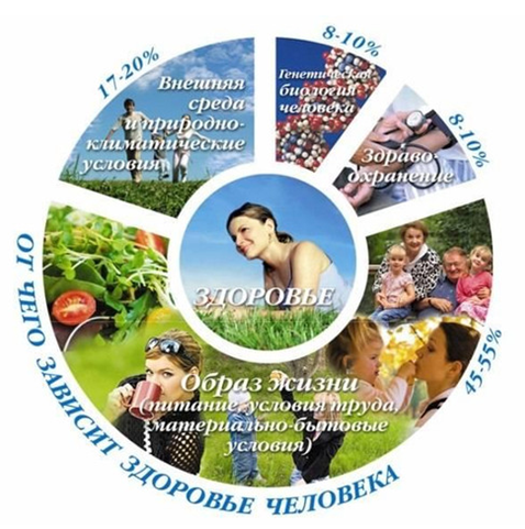 ОТ ЧЕГО ЗАВИСИТ ЗДОРОВЬЕ ЧЕЛОВЕКА